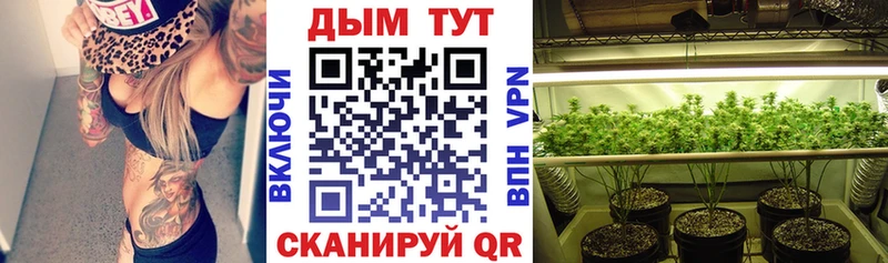 Где можно купить наркотики Бердск Галлюциногенные грибы  Меф  Каннабис  Кокаин 