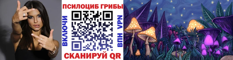 Галлюциногенные грибы GOLDEN TEACHER  Бердск 